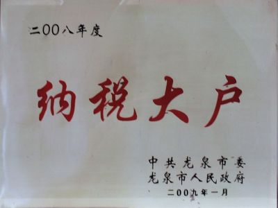 2008年纳税大户