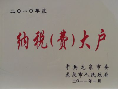 2010年纳税大户