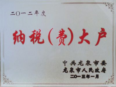 2012年纳税大户