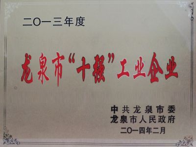 2013年龙泉十强企业